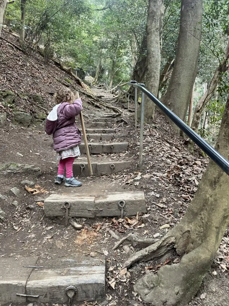 small child hiking the stairs on the Kurama to Kibune hike